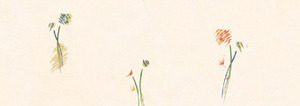 Lens 0301